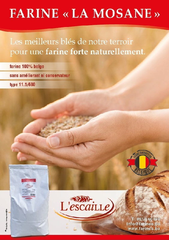 Nouvelle farine : La mosane